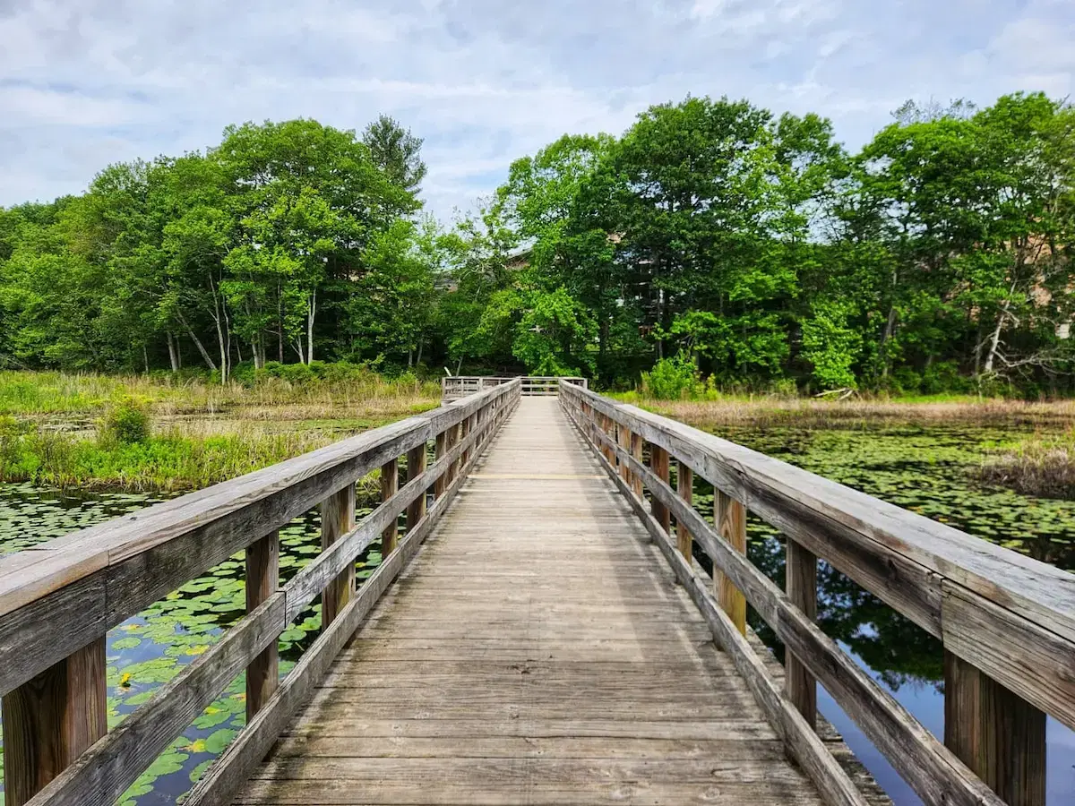 مسار الطبيعة ومستنقع التوت البري من أوشن سبراي (Nature Trail and Ocean Spray Cranberry Bog)