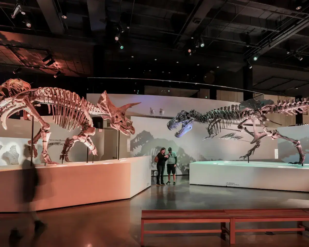 Museu de Ciência Natural de Houston